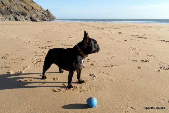 Frenchton and Ball